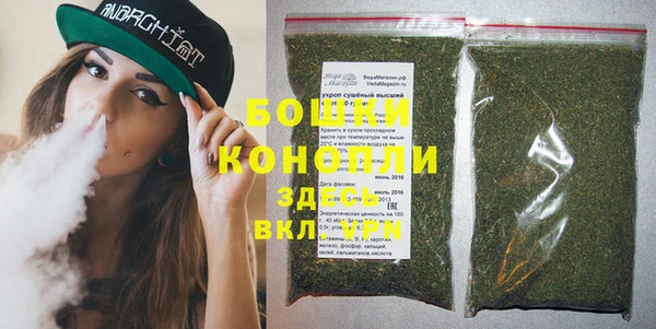 стафф Зерноград