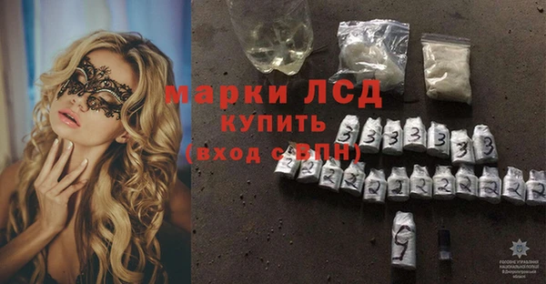 стафф Зерноград