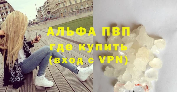 стафф Зерноград