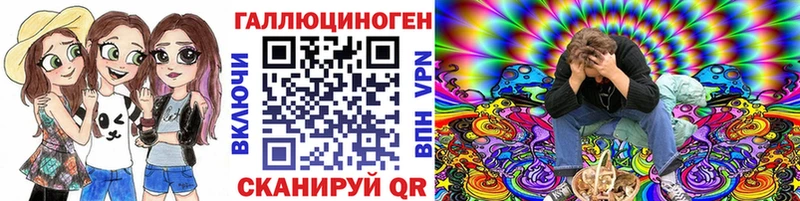 Купить закладки  Пионерский  Галлюциногенные грибы Psilocybe 