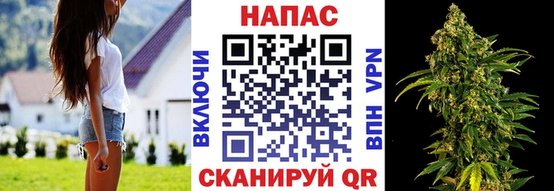 Купить  Пионерский  Бошки Шишки VHQ 